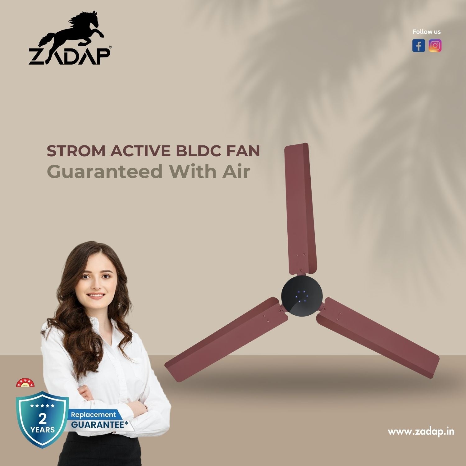 BLDC Ceiling Fan - STROM (Matt Brown)