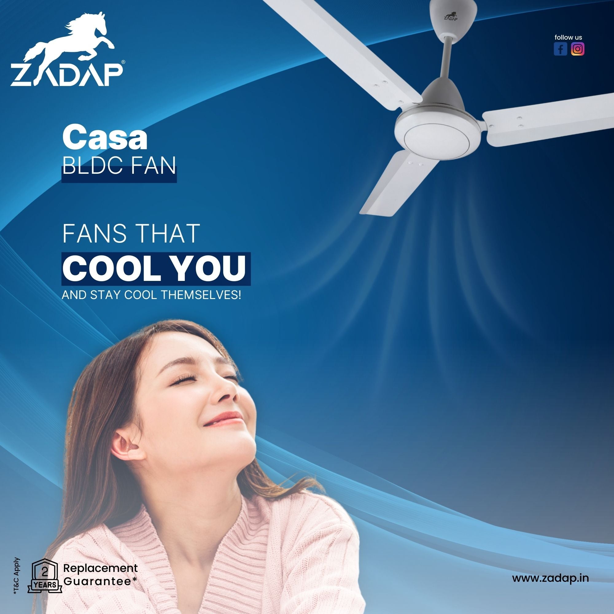 BLDC Ceiling Fan - CASA